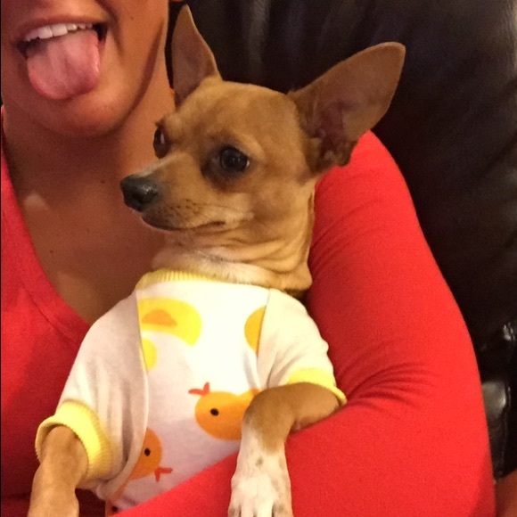 Cute Duck Dog/Cat Pajamas-Worn Once-Size Small🐾💛 - Picture 3 of 4